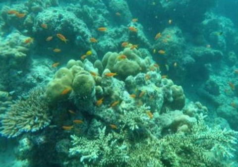 Transformation of College of Engineering