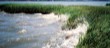 wetlands2_NOAA