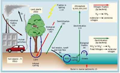  Relavencce to NERC  Mission